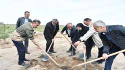 پویش ملی درختکاری سرو ایران در تبریز برگزار شد