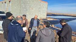 رتبه سوم آذربایجان شرقی در تولید سیست و بیوماس آرتمیا در کشور