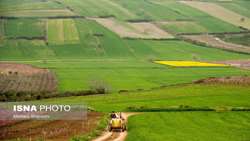 شناسایی ۲۸ تغییر کاربری غیرمجاز در کهک قم