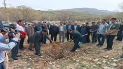  پویش ملی درختکاری،سرو ایران درپارک جنگلی چغاسبز شهر ایلام