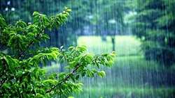 سال زراعی جدید برای زارعان و باغداران خراسان شمالی، سالی نویدبخش و پربازده 