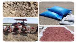 اجرای طرح کشت ۴ هکتاری آفتابگردان آجیلی در ایستگاه ساعتلو
