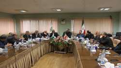 هم‌افزایی مراکز دولتی و بخش خصوصی برای تحول در صنعت ابریشم گیلان