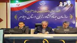 روند تولید مرغ در ایلام تسهیل می شود