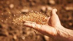 تخصیص بالغ بر  یکهزار میلیارد تومان برای خرید بذر به استان لرستان