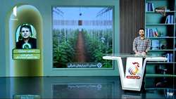 هدف‌گذاری برای توسعه ۲ هزار هکتار گلخانه در آذربایجان شرقی در افق پنج‌ساله 