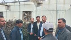 تسهیل مسیر توسعه ۱۸ طرح فعال کشاورزی در شهرستان دنا
