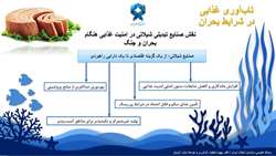 تاب آوری غذایی در شرایط بحران و جنگ