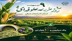 تولید سالانه  بیش از یک میلیون تن محصول علوفه‌ای در آذربایجان شرقی 