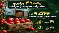 رشد ۴۱ برابری صادرات سیب از مراغه