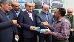 لزوم توسعه توتستان ها و به روزرسانی صنایع تبدیلی ابریشم در گیلان