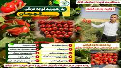استفاده از پوشش های مخصوص برای کنترل تلفیقی آفات و آفتاب سوختگی انار