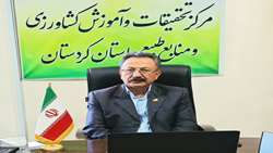 تأمین بذرهای اصلاح‌شده از مزارع تحقیقاتی کردستان/ برداشت بذرهای پرورشی، زنجیره تولید ملی را تقویت کرد