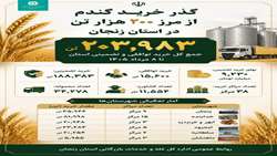  گذر خرید گندم از مرز ۲۰۰ هزار تن در استان زنجان