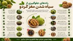 راه های جلوگیری از سیاه شدن مغز گردو