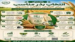 راهنمای انتخاب بذر مناسب برای افزایش عملکرد محصول