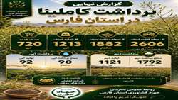 برداشت کاملینا در استان فارس