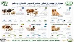 بیماری‌های مشترک بین انسان و دام