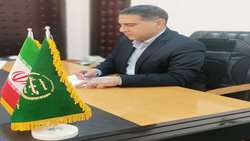 ساماندهی بازار پیاز زعفران در خراسان رضوی/ صدور مجوز سورت و بسته‌بندی در زاوه و فریمان