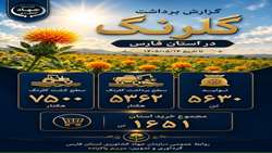 گزارش برداشت گلرنگ در استان فارس