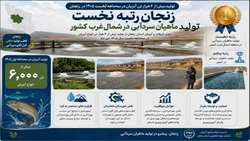  زنجان رتبه نخست تولید ماهیان سردآبی در شمال‌غرب کشور/ تولید بیش از ۶هزار تن انواع آبزیان در ۳ ماهه اول ۱۴۰۵