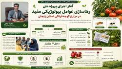 آغاز اجرای پروژه ملی رهاسازی عوامل بیولوژیکی مفید در مزارع گوجه‌فرنگی استان زنجان