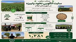 عملکرد مطلوب سایت الگویی نخود پاییزه 