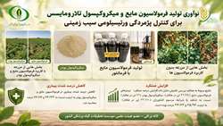 نوآوری تولید فرمولاسیون مایع و میکروکپسول تالارومایسس برای کنترل پژمردگی ورتیسلیومی سیب‌زمینی