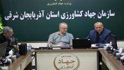 خرید گندم در استان آذربایجان شرقی از مرز ۲۴۲  هزار تن گذشت