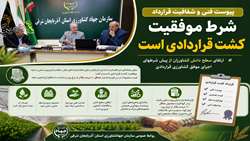 پیوست فنی و شفافیت قرارداد؛ شرط موفقیت کشت قراردادی