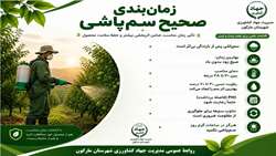 زمان بندی صحیح سمپاشی