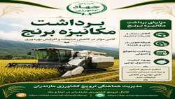  برداشت مکانیزه برنج