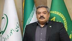 برنامه‌ریزی برای صدور اسناد کاداستری ۱۲ تا ۱۴ میلیون هکتار از اراضی کشاورزی فاقد سند