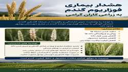 هشدار بیماری فوزاریوم گندم به زراعی کاران
