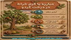 مبارزه با کرم خراط در درخت گردو