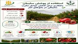 استفاده از پوشش سایبان راهکاری برای کاهش عوامل مخرب محیطی در باغ‌های انار