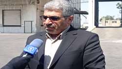 خریداری ۲۷۰ هزار تن گندم از کشاورزان زنجانی