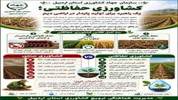 کشاورزی حفاظتی یک راهبرد برای تولید پایدار در اراضی دیم