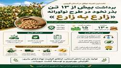  برداشت بیش از ۱۳ تن بذر نخود در نخستین اجرای طرح «زارع به زارع» قزوین