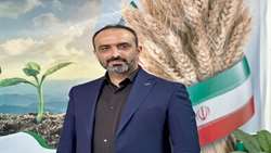 تأمین بیش از ۳ هزار تن بذر گواهی‌شده گندم در مازندران