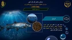 دستاوردهای۲سال اخیر سازمان تات در حوزه ی آبزیان