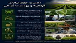 نقش حفظ نباتات، قرنطینه و بهداشت گیاهی در ارتقای تولیدات کشاورزی