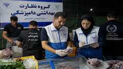 صدور ۷۱ فقره مجوز بهداشتی صادراتی برای مواکب اربعین از خوزستان