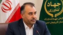  رشد ۳۰ درصدی تولید گل و گیاهان زینتی در آذربایجان‌غربی/توسعه گلخانه‌ها عامل جهش تولید