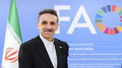 ایران به حمایت از زنان کارآفرین کشاورزی متعهد است/ تبریک به بانوی ایرانی قهرمان فائو