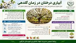 آبیاری درختان در زمان گلدهی