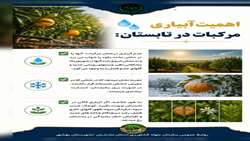 اهمیت آبیاری مرکبات در تابستان
