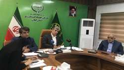 پیش‌بینی برداشت یک میلیون و ۱۵۰ هزار تن شلتوک در گیلان