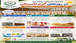 مدیریت اصولی مرغداری 
