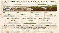 راهکارهای کاهش و اصلاح شوری خاک